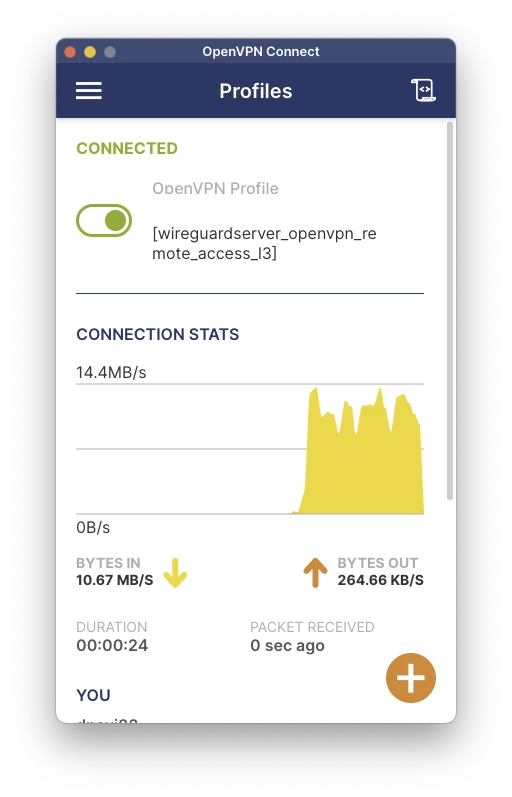 openvpn.webp